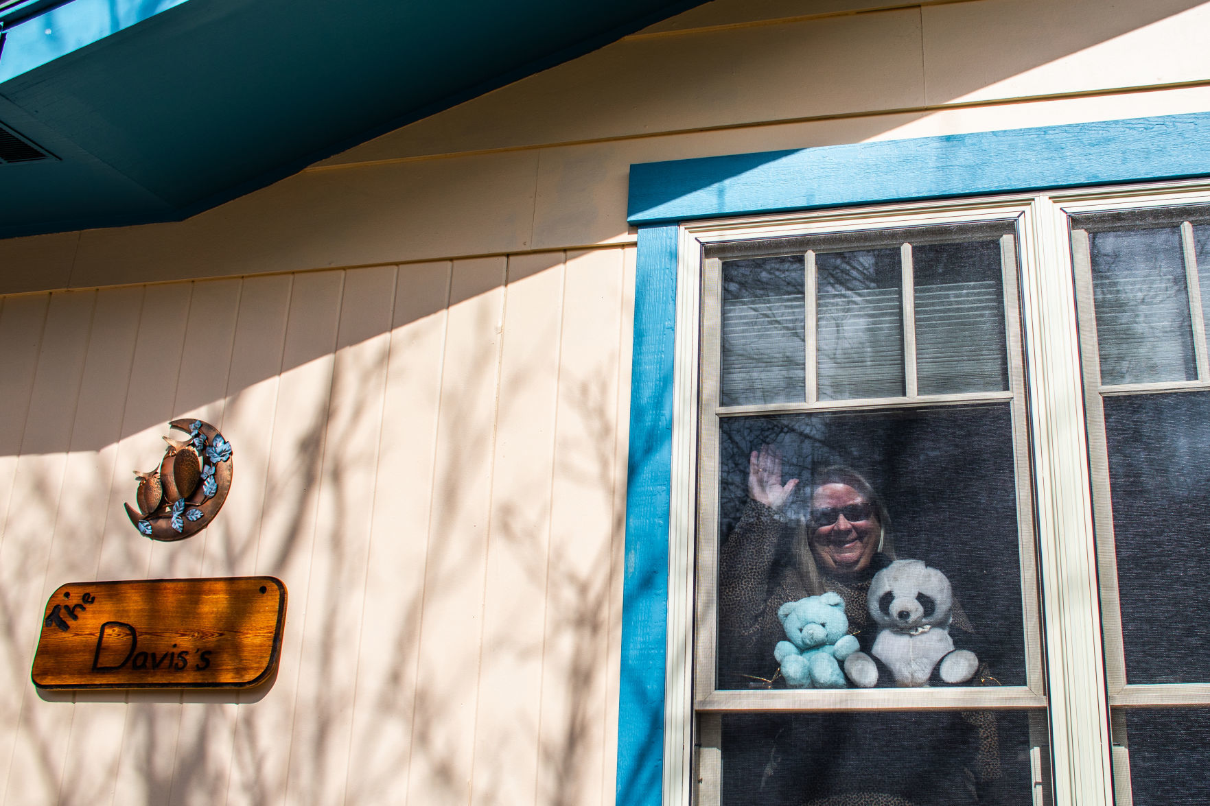 Window teddy bears